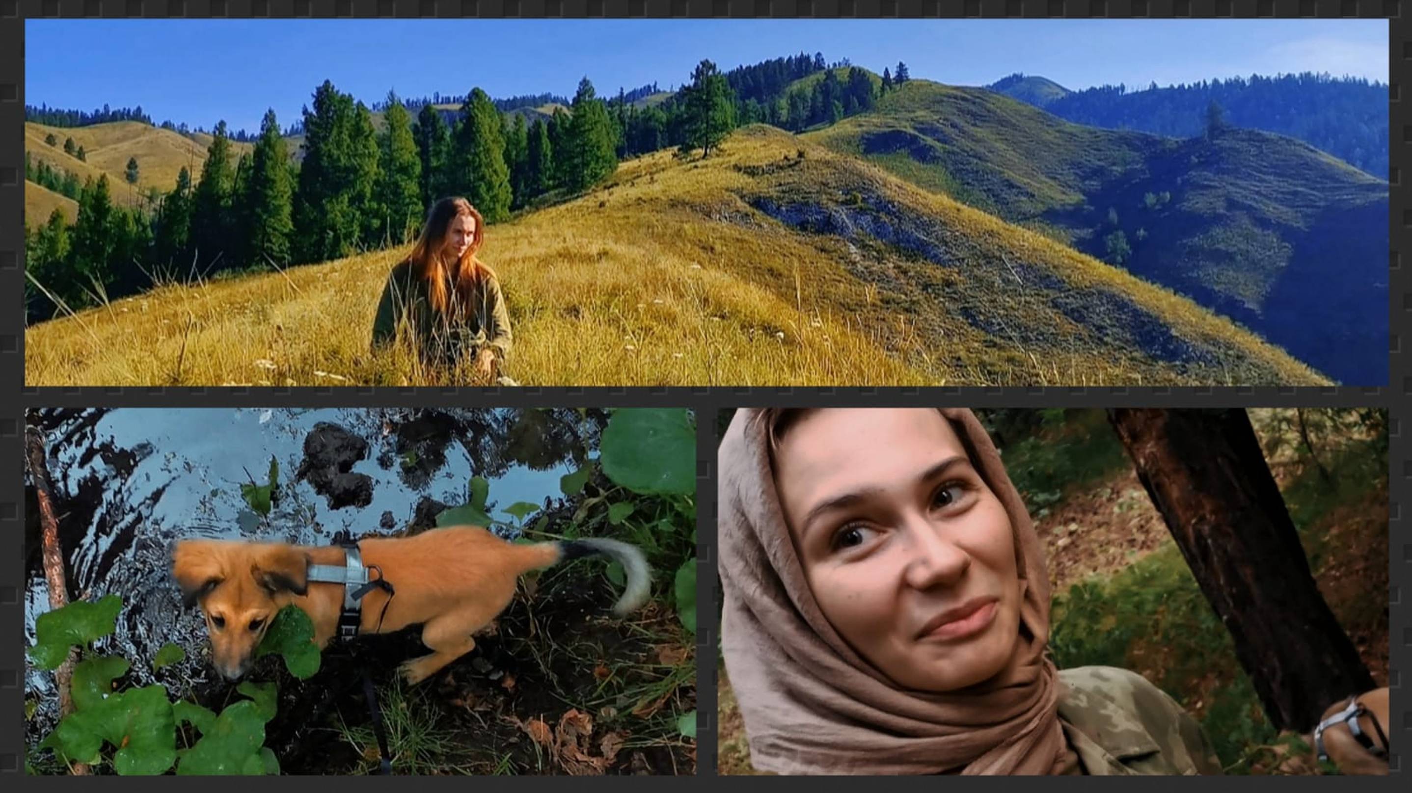 Разговорный микс  на природе о разном. прогулка с пёселями. Горы. 05.08.2024