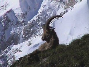 Туры Кавказа. Последняя тайна
