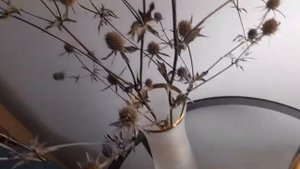 #синеголовник #эрингиум / Синеголовник ( лат. eryngium). Необычный сухоцвет из сада