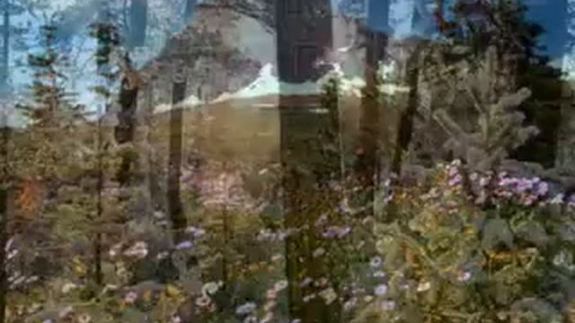 Шансон. Запахло весной. Группа Бутырка. Прикол. Юмор. смотреть онлайн