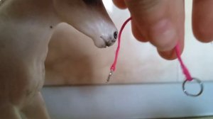 делаем недоуздок для лошадей ☺️?