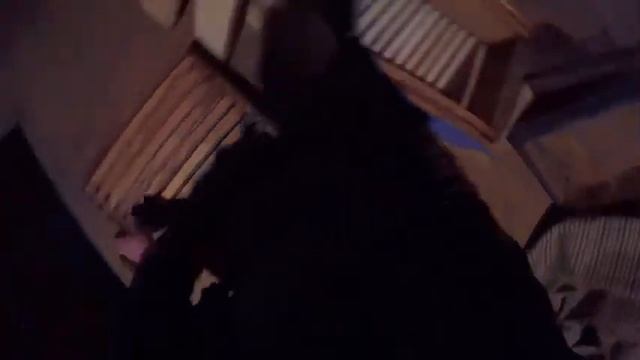 пчеловодство в канаде смотреть онлайн