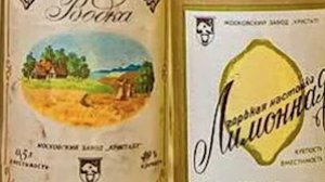 Что можно было купить в СССР на 100 рублей?