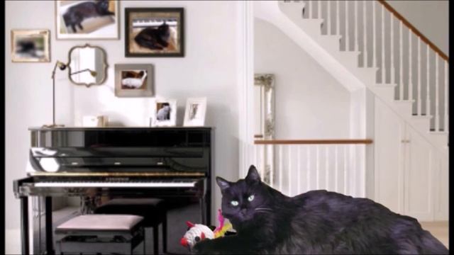 Ноти. Назви нот смотреть онлайн