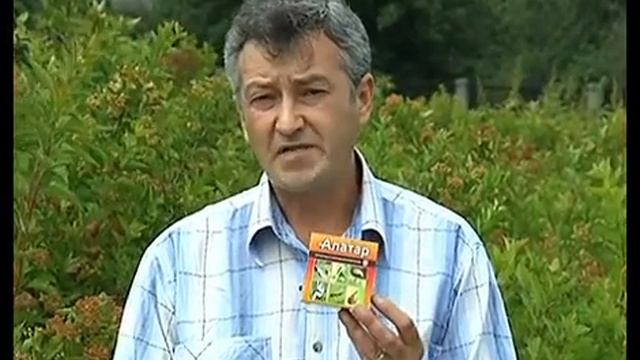 Удачный сезон смотреть онлайн