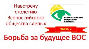 Навстречу столетию Всероссийского общества слепых. Борьба за будущее ВОС. ЧАСТЬ 2