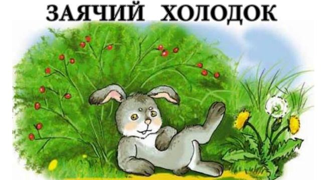 Аудіоказка українською / Заячий холодок / Казка на ніч