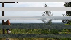 Путешествие на велике от озера Вельё к деревне Ореховно у озера Селигер.
