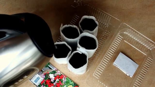 ОШИБКИ ВЫРАЩИВАНИЯ ПЕЛАРГОНИИ ИЗ СЕМЯН ! САЖАТЬ ЛИ ГЕРАНЬ В КИПЯТОК , СУПЕР СПОСОБ !