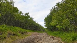 полуостров Средний 2021