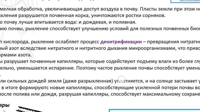 Зачем рыхлят почву? Значение рыхления для растений. Разбор заданий из реального ЕГЭ по биологии.