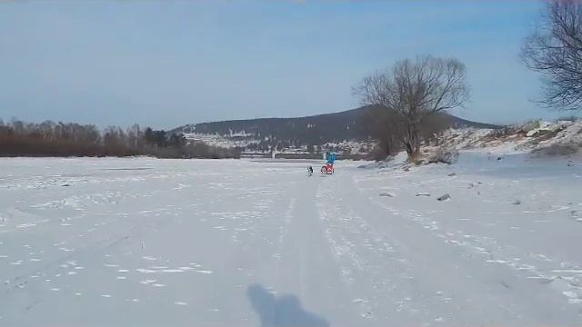 2,5 км 2 упряжки смотреть онлайн