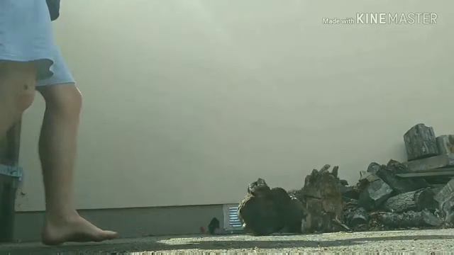 Trailer of a Lifetime