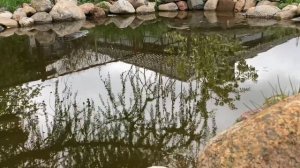 Рыбалка в своем пруду ловля карася карпа дачный пруд