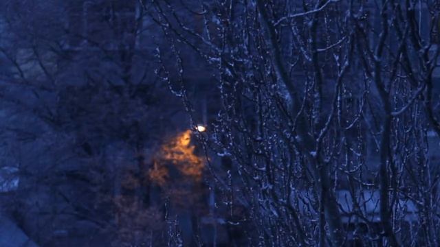 Первый снег Canon 550D + индустар 50-2 (First snow Canon 550D + industar 50-2) смотреть онлайн