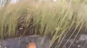 На рыбалке утопил лодку и сам чуть не утонул