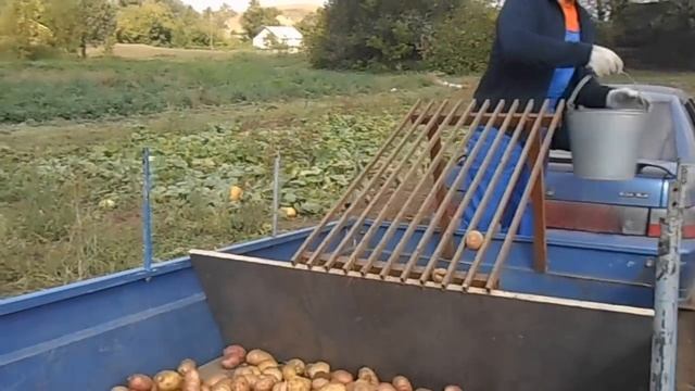 Так мы сортируем картофель смотреть онлайн