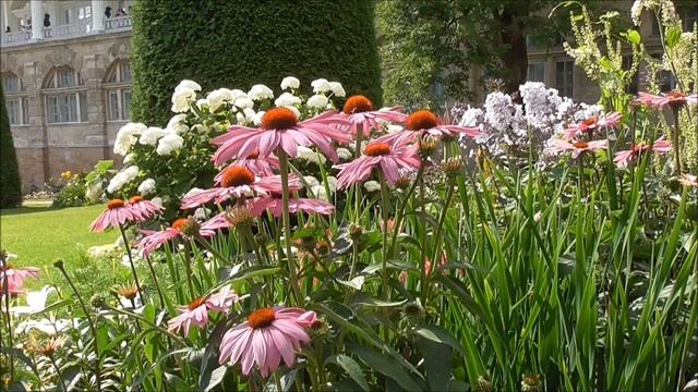 П.И. Чайковский. Вальс цветов. Фрейлинский садик Екатерининского парка. смотреть онлайн