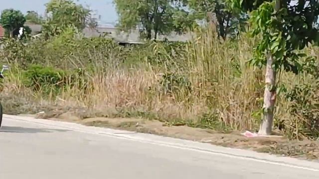 Honda Phantom200 สเต็ปสเเตนดาทบ้าพลัง  ลูก65มิล ร้านช่างภูมิบางปู EP 2/2 смотреть онлайн