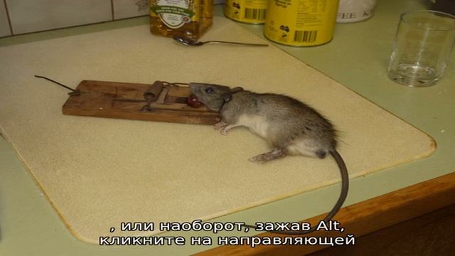 Photoshop смотреть онлайн