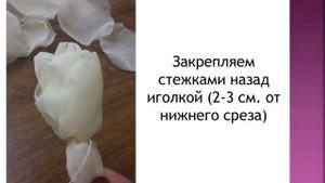 Мастер-класс 7. Брошь "Пион из капрона"