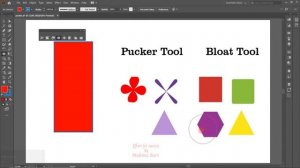 Adobe illustrator class 60 pucker tool and bloat tool Urdu/Hindi