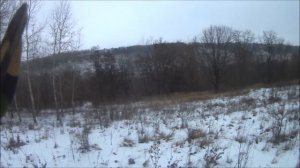 Охота с Эстонскими гончими. Лада и Бригадир. 18+