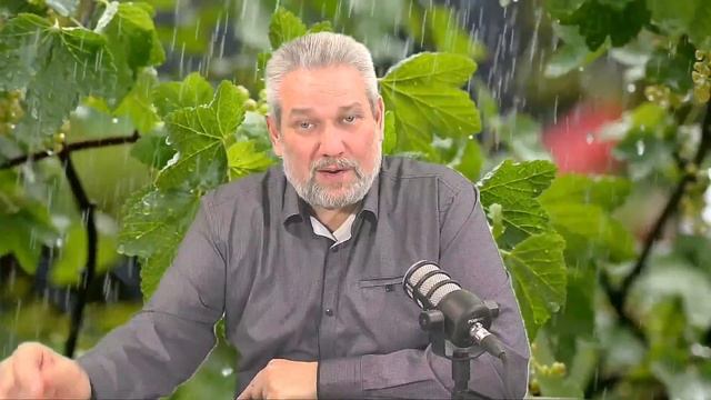 ВОДНОЕ КРЕЩЕНИЕ И МИР БОЖИЙ смотреть онлайн