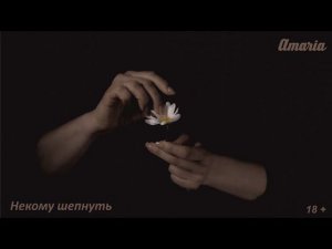 AMARIA | Некому шепнуть