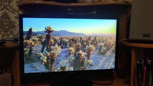 Монитор Samsung 24 S24D300H TN FHD