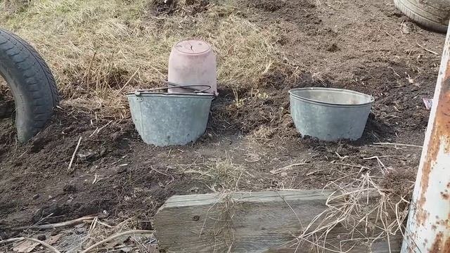 Что посадить на склоне