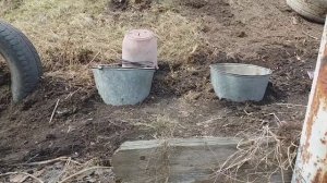 Что посадить на склоне