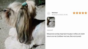 Хочешь красивую собаку? Сделай стрижку сам с машинкой для стрижки животных по очень выгодной цене