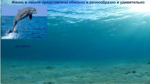 Видеопрезентация  Всемирный день Океанов
