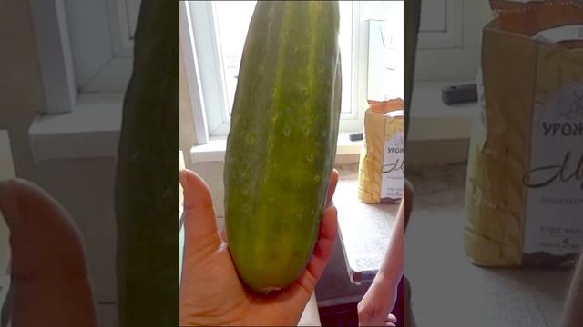 Вау ! Всем огурцам огурец.