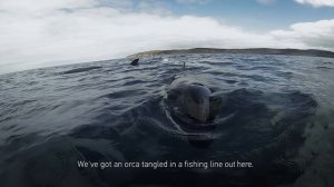 GoPro HERO4 The Adventure of Life in 4K