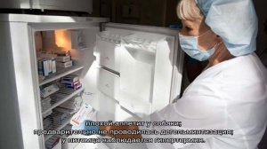 Первая прививка щенку: в каком возрасте делается