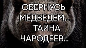 ОБЕРНУСЬ МЕДВЕДЕМ…ТАЙНА ЧАРОДЕЕВ…ДЛЯ ВСЕХ…