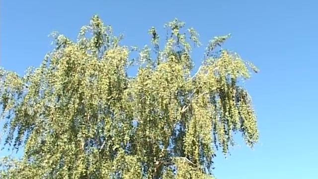 Наш красивый город Строитель смотреть онлайн