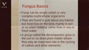 Fungi and Mucor mycosis