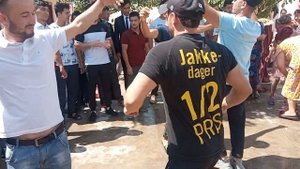 #туй Шайдон 27.08.2021