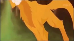 Коты воители клип:бич против огнезвёзда.