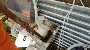 Ощип гуся оборудование МТМ