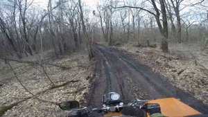 Чапаевские луга осенью