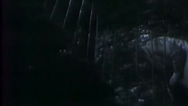 видеоряд