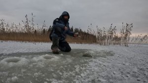 ПЕРВЫЙ ЛЁД В КАРЕЛИИ | НАЛИМА НЕМЕРЕНО! РЫБАКИ НЕ ОЖИДАЛИ,ЧТО В ЭТОМ ТРОСТНИКЕ БУДЕТ СТОЛЬКО РЫБЫ!