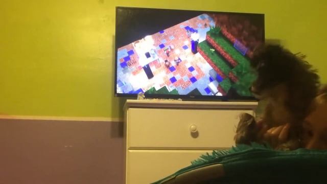 Minecraft story mode in Netflix?!? смотреть онлайн