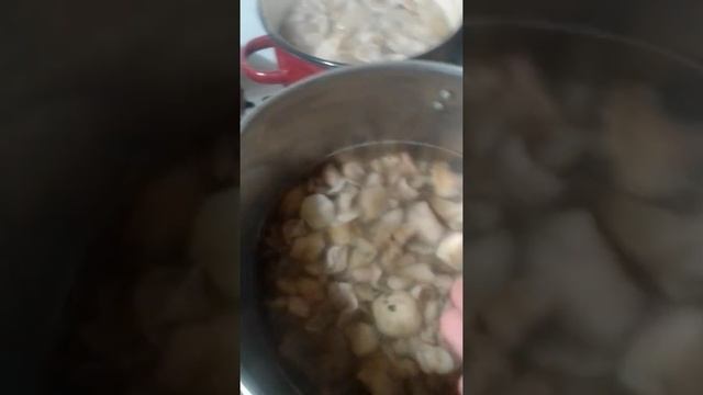 Маринованные грибы без сахара для престижного образа жизни смотреть онлайн