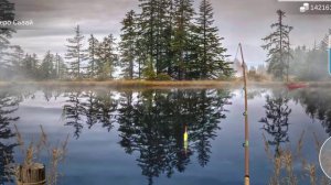как и где ловить#ёрш обыкновенный#MyFishingWorld