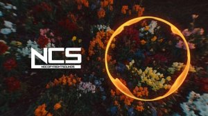 Raude - high4aminute [NCS Release]